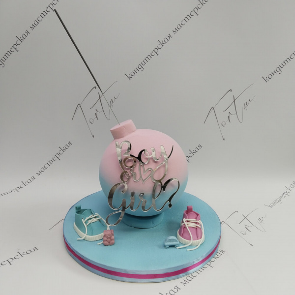 Торт Бомба гендер-пати Boy or Girl - 3204 на заказ в Москве, купить 2кг за 9100.00 ₽