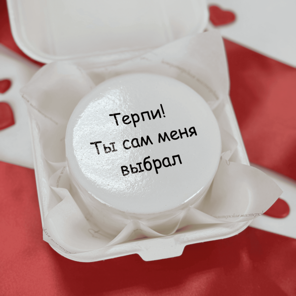 Бенто торт на 14 февраля Терпи ты сам меня выбрал - 4232 на заказ в Москве, купить 0.4кг за 1500.00 ₽